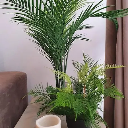 Modern A Few Minutes To The Center - Trip Apartment *